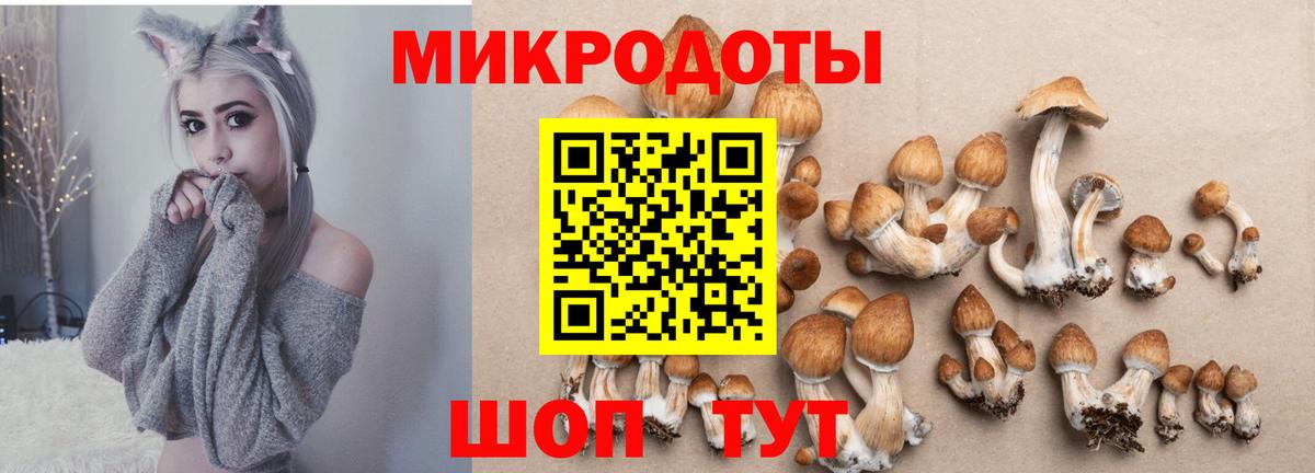 Галлюциногенные грибы ЛСД  Вход с VPN  Псилоцибиновые грибы мухоморы  Хасавюрт 