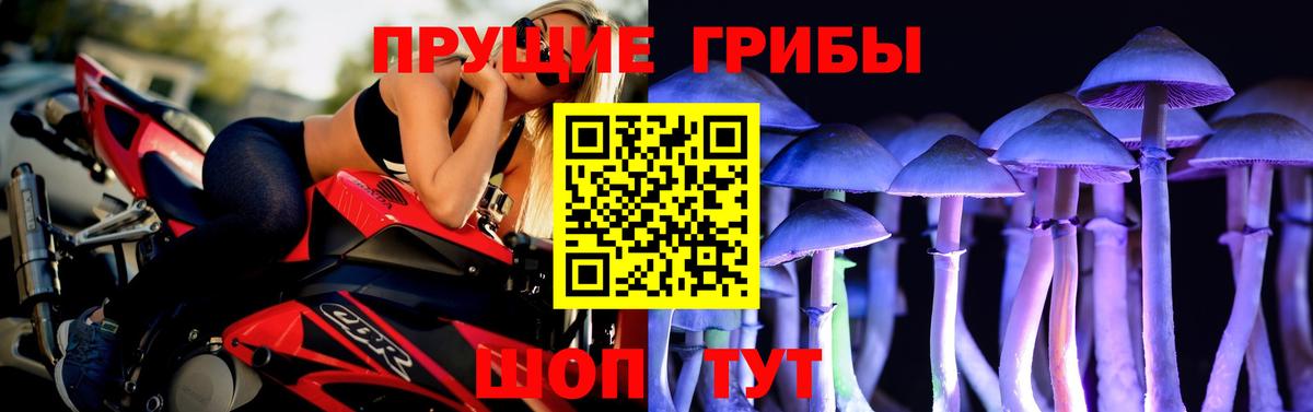 Галлюциногенные грибы Cubensis Хасавюрт