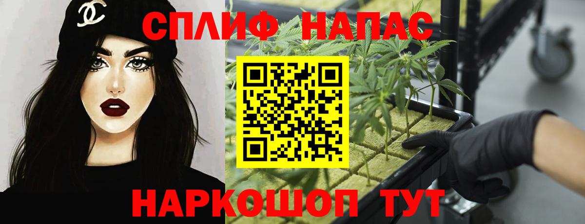 Шишки марихуана семена Хасавюрт